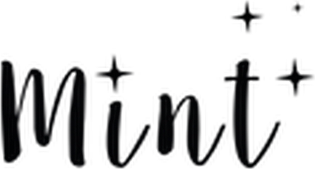 Mint Cleaning Products logo