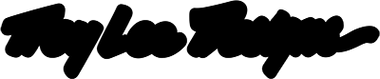 Troy Lee Designs logo
