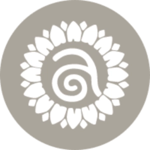 Annmarie Skin Care logo