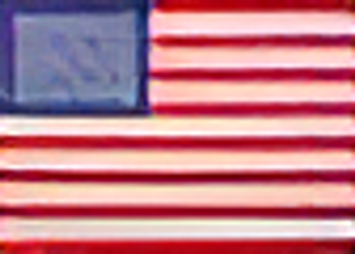 Wahl Professional logo