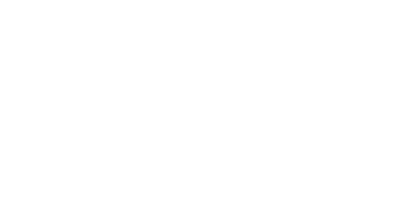 Fin & Fire Fly Shop logo