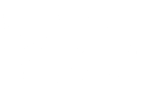 nerdywave logo