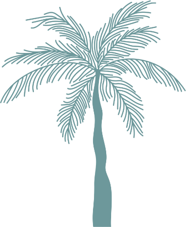 bāeo logo