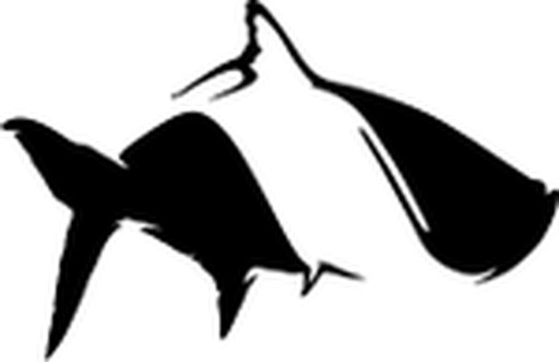 Fish Hippie logo