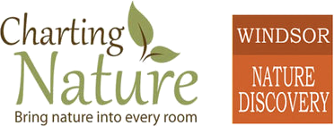 Charting Nature logo