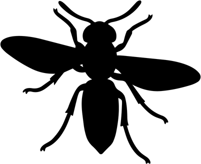 NDG PARIS USA logo
