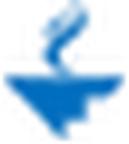 American College of Healthcare Executives logo