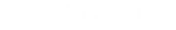 Orbit Baby logo
