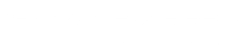 Bicycle Wheel Warehouse logo