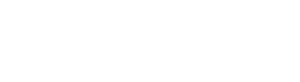 Frizzlife logo