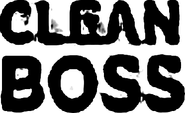CleanBoss logo