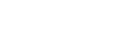 Setex logo