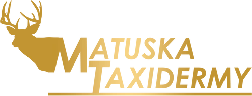 Matuska Taxidermy Supply Company logo