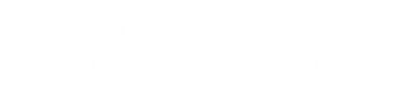 DailySale logo