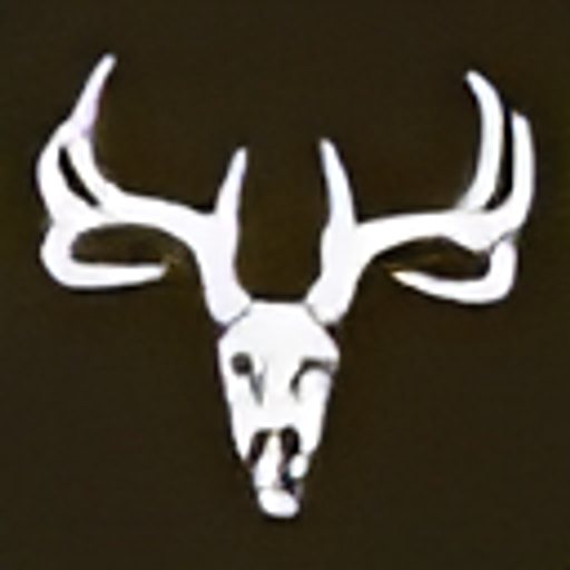 Bone Head Outfitters logo