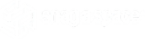 snag a space® logo