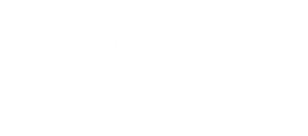 Relaxus Professional logo