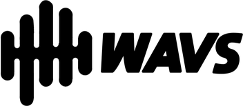 WAVS CUSTOM INC. logo