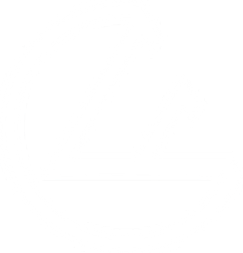 Foundation Disc Golf logo