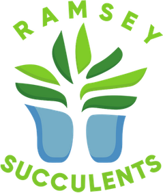 Ramsey Succulents logo