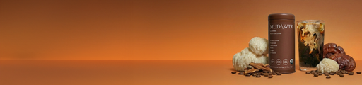 MUD\\WTR logo