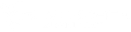 Silverback Gymwear logo