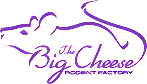 The Big Cheese Rodent Factory logo