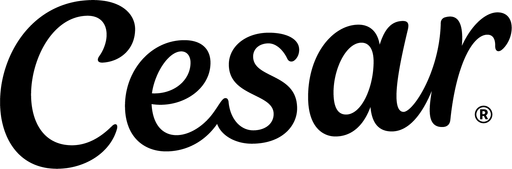 cesar logo