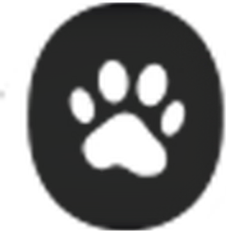 BravoWalk Dog Collar logo