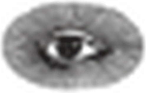 Anima Mundi Herbals logo