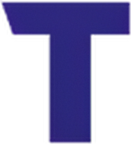 Theater Under The Stars logo
