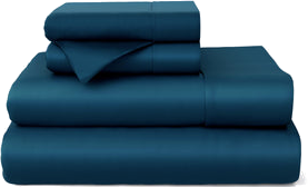 Cosy House Collection logo
