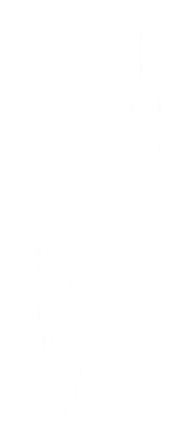 ENYA MUSIC INC logo