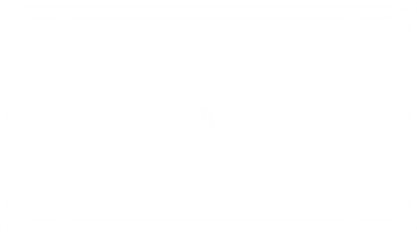 ACE - American Council on Exercise logo