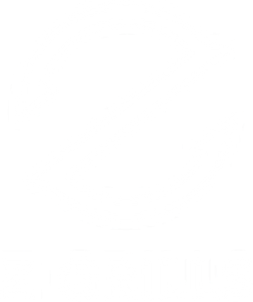 Z Grills logo