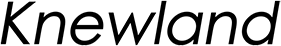 Knewland logo