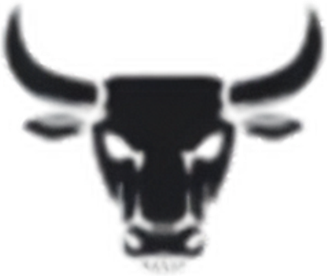 Brute Magnetics logo