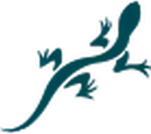 Chacos logo
