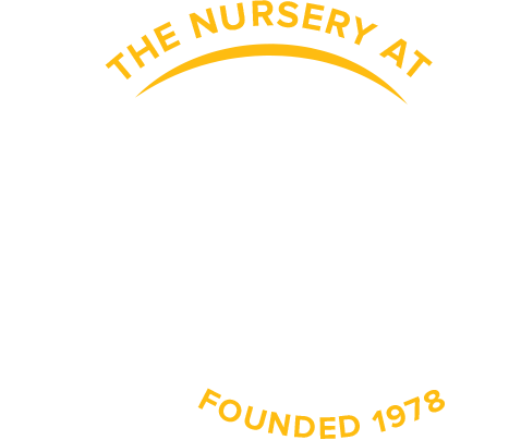 Ty Ty Nursery logo