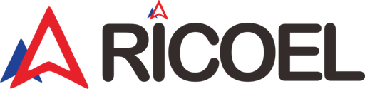 Ricoel Store logo