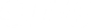 DVS Shoes logo
