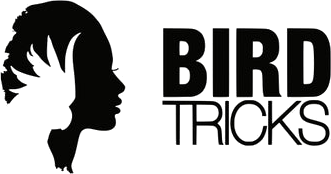 BirdTricks logo