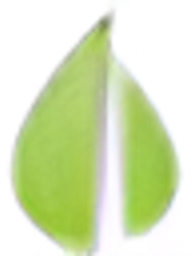 Boathouse logo