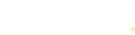 DriveSafe Online® logo