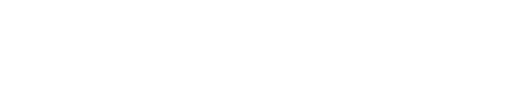TWO SVGE logo