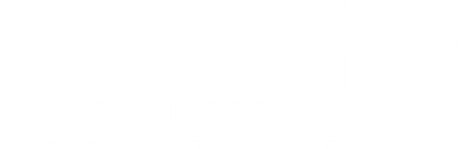 Vintage AirCooled Parts logo