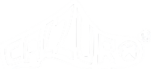 Calzuro logo