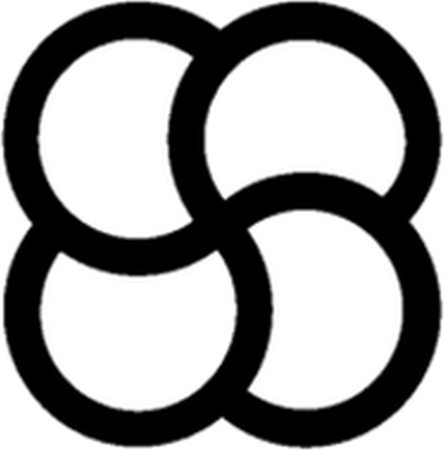 Synergy Surgical logo