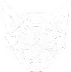 Linx Vapor logo