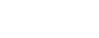 Divina Market logo